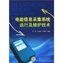 電能信息采集系統(tǒng)運行及維護技術(shù) 信息系統(tǒng)運行維護服務(wù)的關(guān)鍵實踐